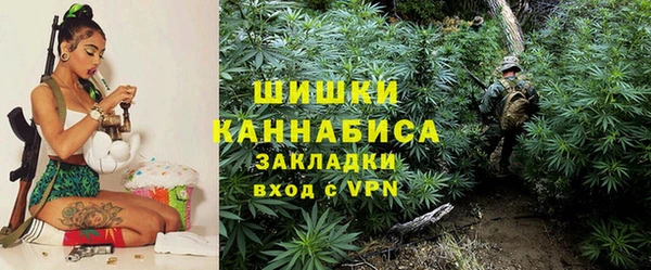 спайс Бородино