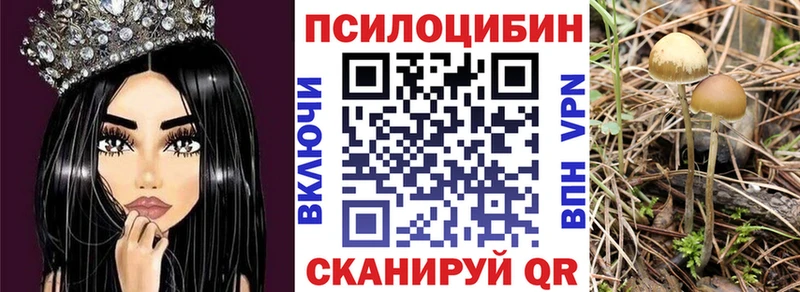 Купить  Урус-Мартан  Галлюциногенные грибы мухоморы 